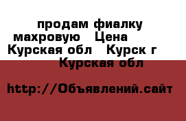 продам фиалку махровую › Цена ­ 150 - Курская обл., Курск г.  »    . Курская обл.